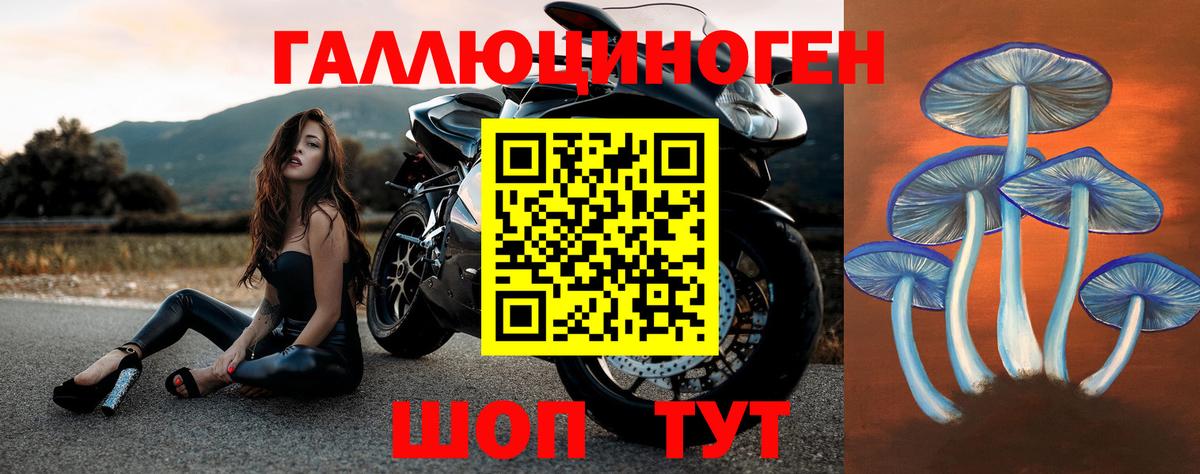 Галлюциногенные грибы Psilocybine cubensis  Псилоцибиновые грибы ЛСД  Ревда  Вход с VPN 